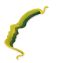 Ovarian Cancer Academy logo